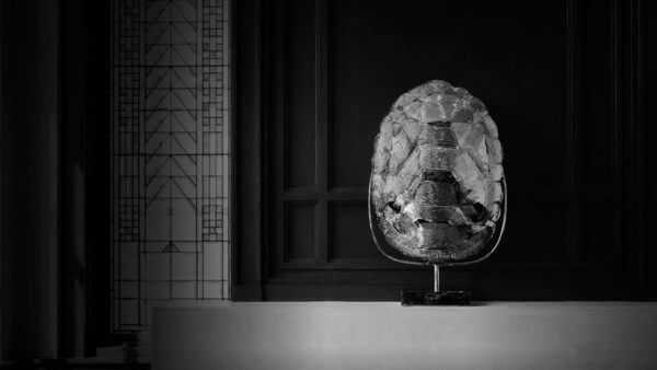 Gold turtle shell sculpture sits on a fireplace mantle in black and white